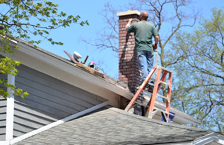 Chimney & Fireplace Inspections Services in Bremerton, WA